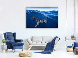 canvas-print-whale-shark-on-split-level