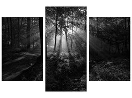 modern-3-piece-canvas-print-a-sunny-morning