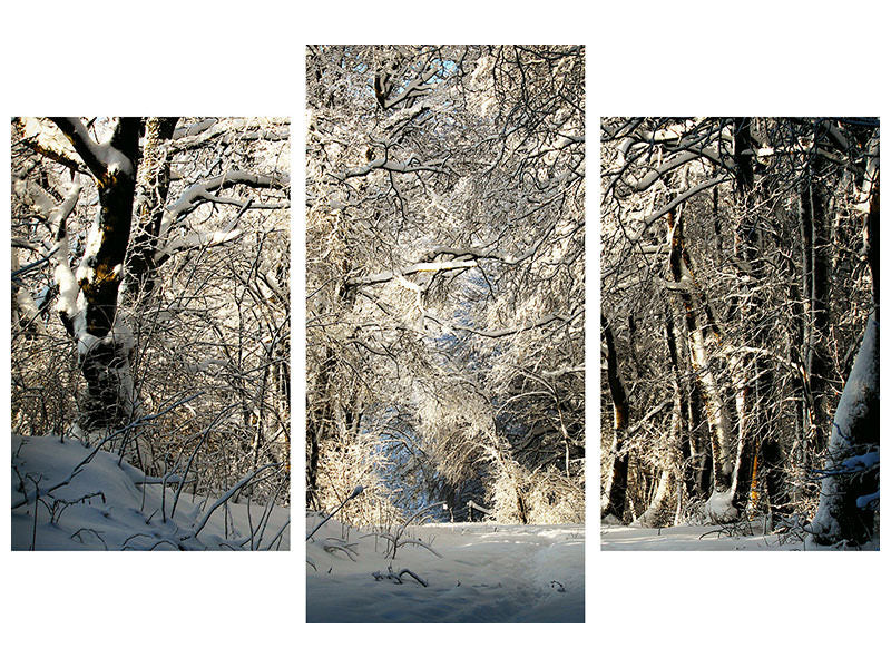 modern-3-piece-canvas-print-a-winter-dream