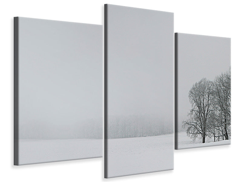 modern-3-piece-canvas-print-albhochflaeche