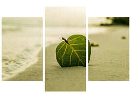 modern-3-piece-canvas-print-beach-leaf