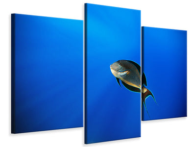 modern-3-piece-canvas-print-blu