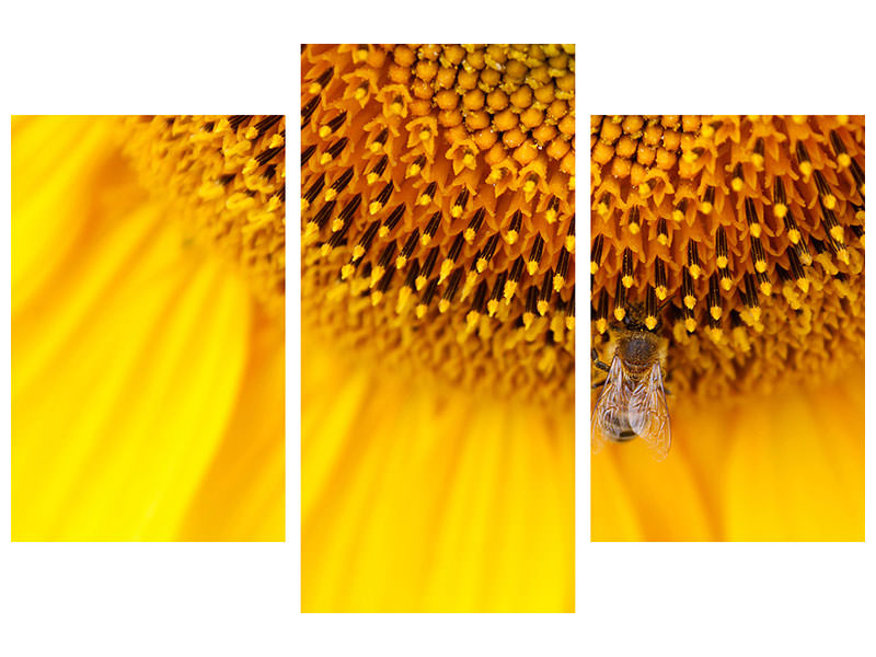 modern-3-piece-canvas-print-close-up-yellow-bud