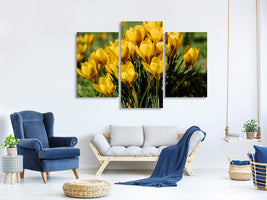 modern-3-piece-canvas-print-crocuses-in-spring