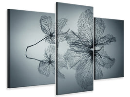 modern-3-piece-canvas-print-ephemeral-beauty