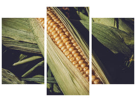 modern-3-piece-canvas-print-fresh-sweetcorn