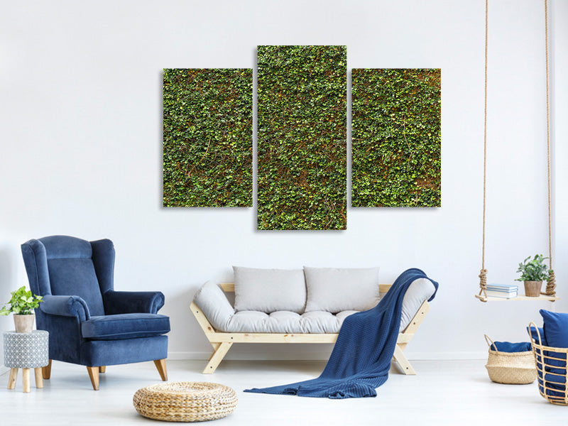 modern-3-piece-canvas-print-green-ivy-leaves-wall