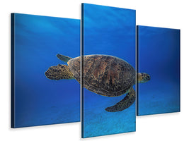 modern-3-piece-canvas-print-green-turtle-in-the-blue