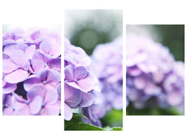 modern-3-piece-canvas-print-hydrangeas