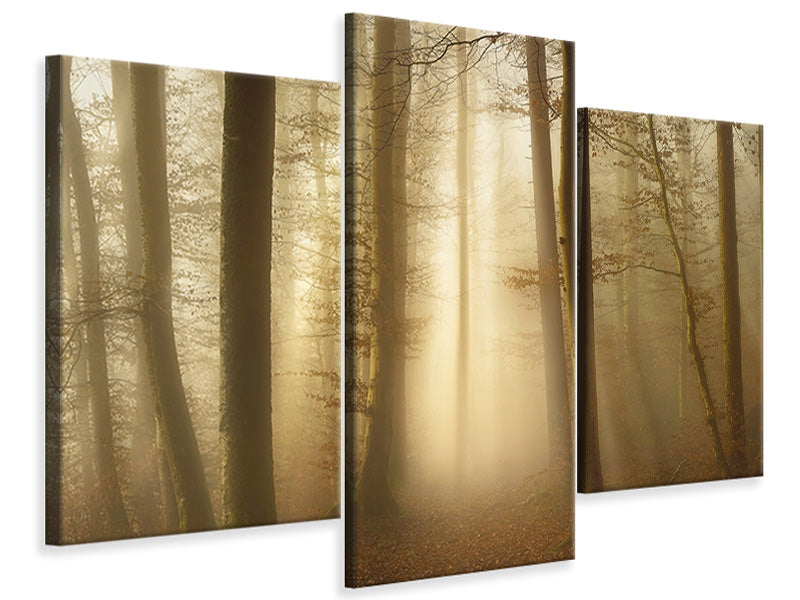 modern-3-piece-canvas-print-into-the-trees