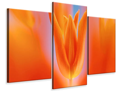 modern-3-piece-canvas-print-kensaki-tulip