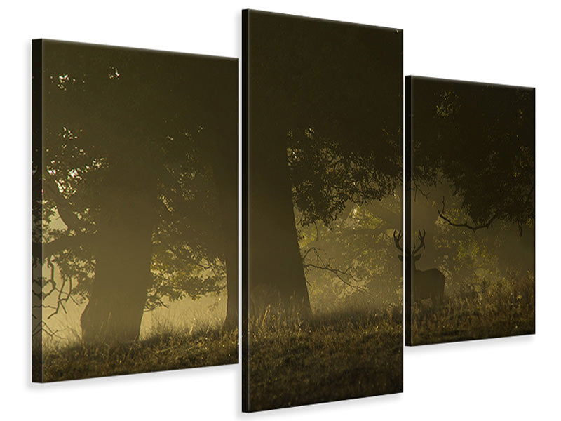 modern-3-piece-canvas-print-magical-sunrise