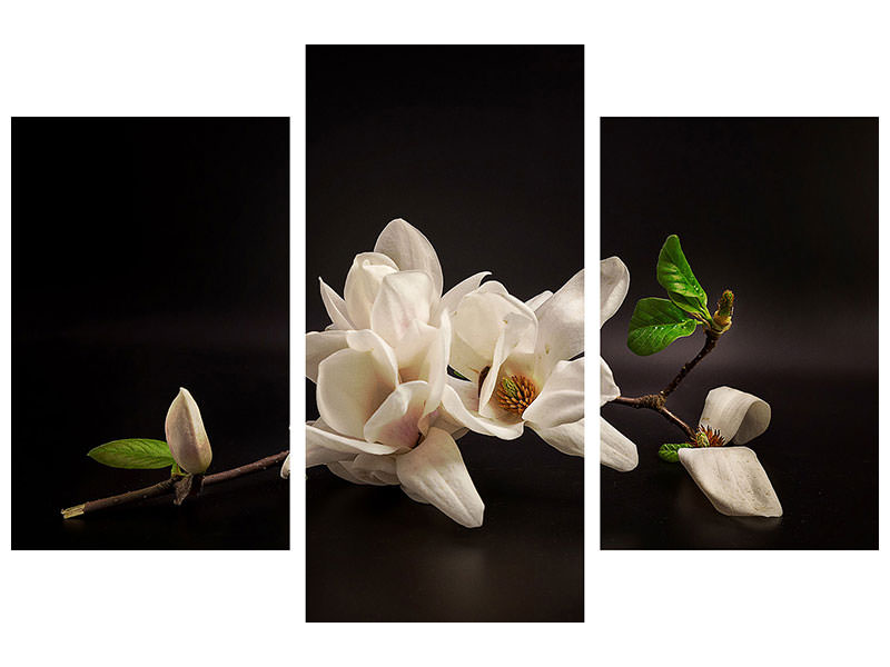 modern-3-piece-canvas-print-magnolia