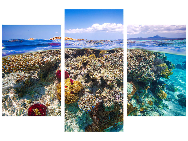 modern-3-piece-canvas-print-mayotte-the-reef