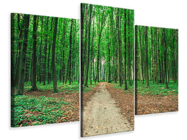 modern-3-piece-canvas-print-pine-forests