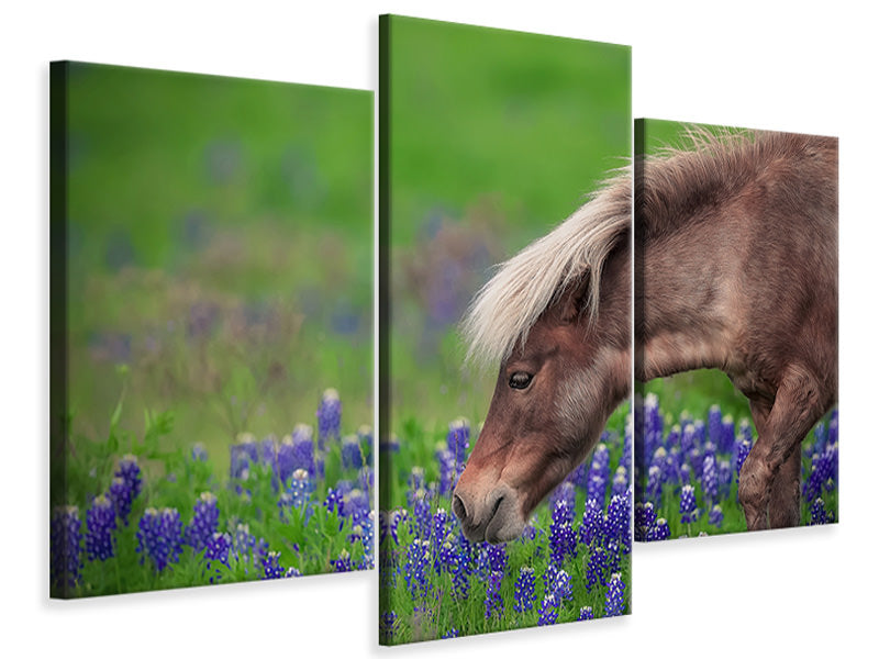 modern-3-piece-canvas-print-spring-is-in-the-air