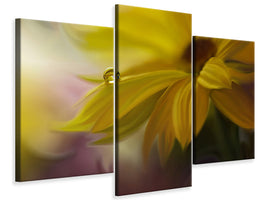 modern-3-piece-canvas-print-sunbeam