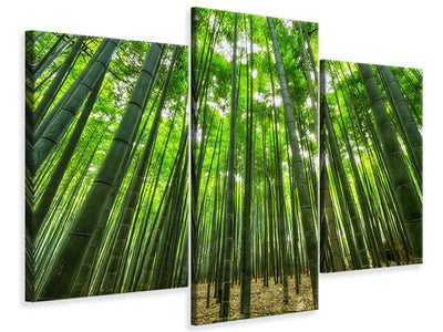 modern-3-piece-canvas-print-the-bamboo-forest
