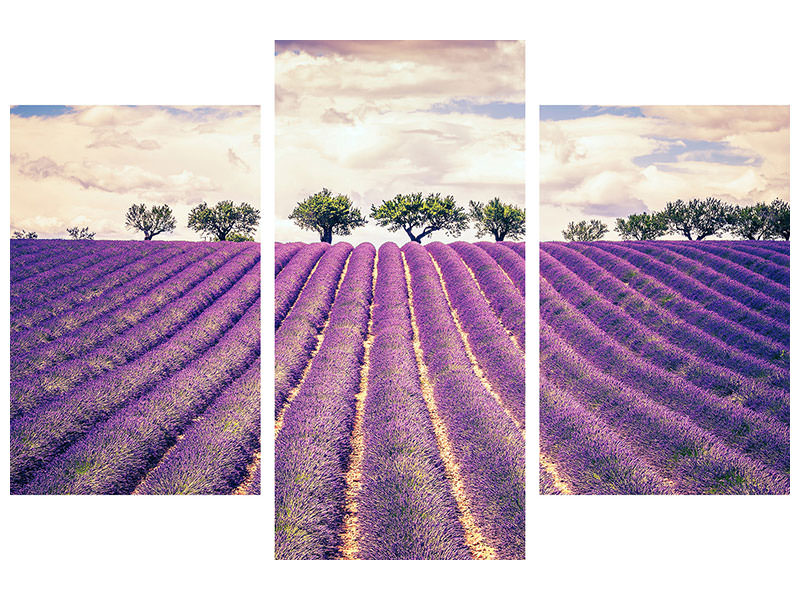 modern-3-piece-canvas-print-the-lavender-field-ii