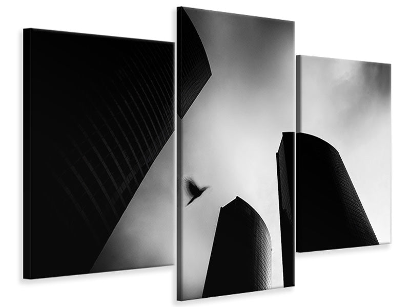 modern-3-piece-canvas-print-the-lost-bird-homage-for-andra-kertasz