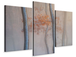 modern-3-piece-canvas-print-thin-air