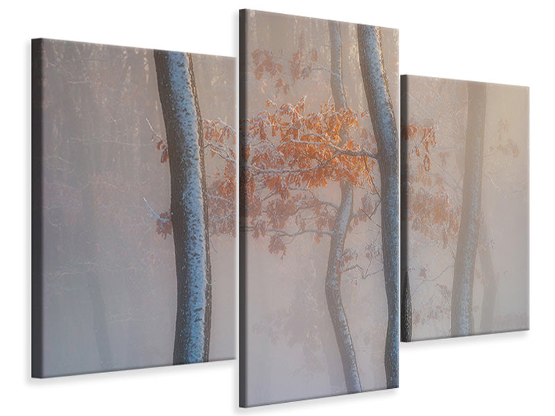 modern-3-piece-canvas-print-thin-air