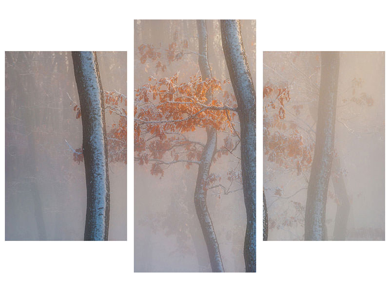 modern-3-piece-canvas-print-thin-air