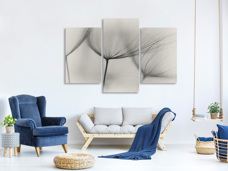 modern-3-piece-canvas-print-tragopogon