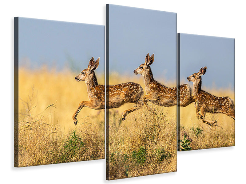 modern-3-piece-canvas-print-tripple-jump