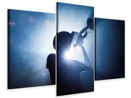 modern-3-piece-canvas-print-trumpet-player