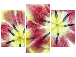 modern-3-piece-canvas-print-tulips