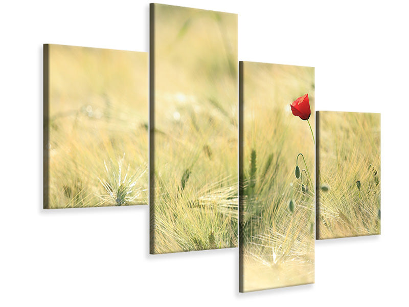 modern-4-piece-canvas-print-a-poppy