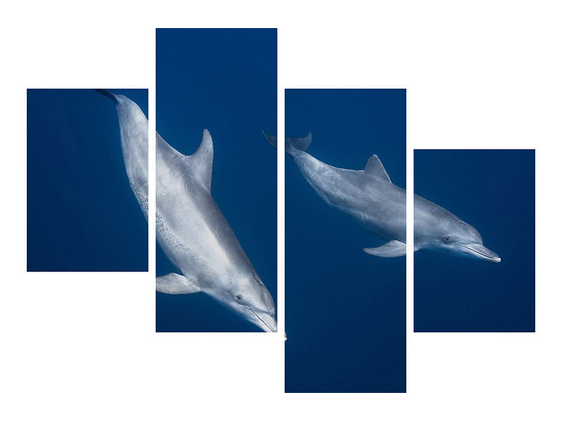 modern-4-piece-canvas-print-bottlenose-dolphins