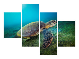 modern-4-piece-canvas-print-green-turtle