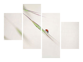 modern-4-piece-canvas-print-ladybug
