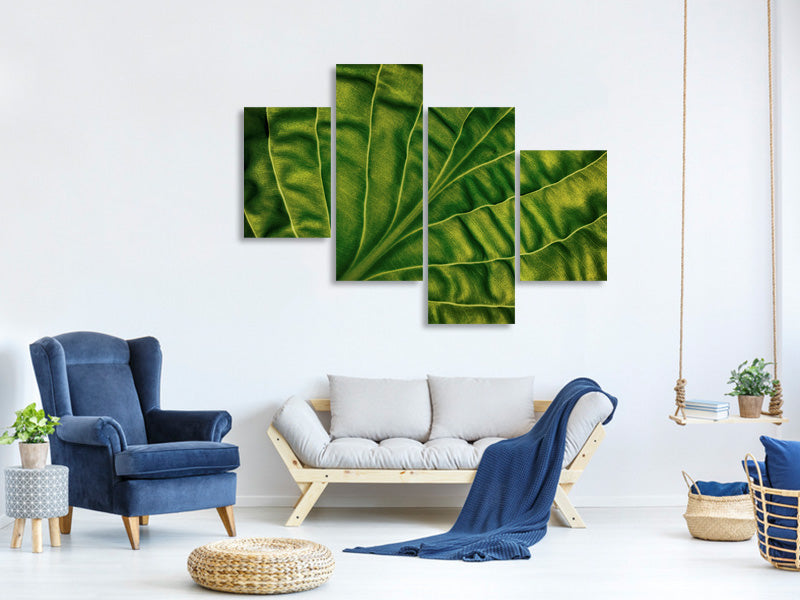 modern-4-piece-canvas-print-leaf-of-a-hosta