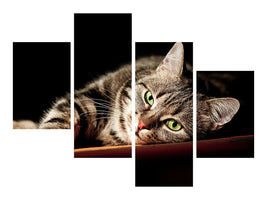 modern-4-piece-canvas-print-relaxed-cat