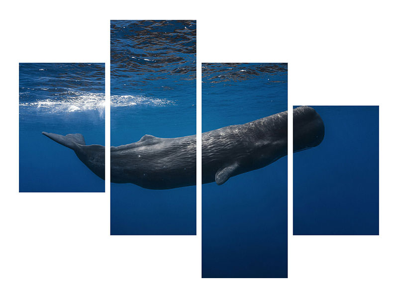 modern-4-piece-canvas-print-sperm-whale