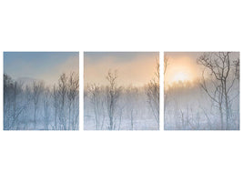 panoramic-3-piece-canvas-print-a-touch-of-winter