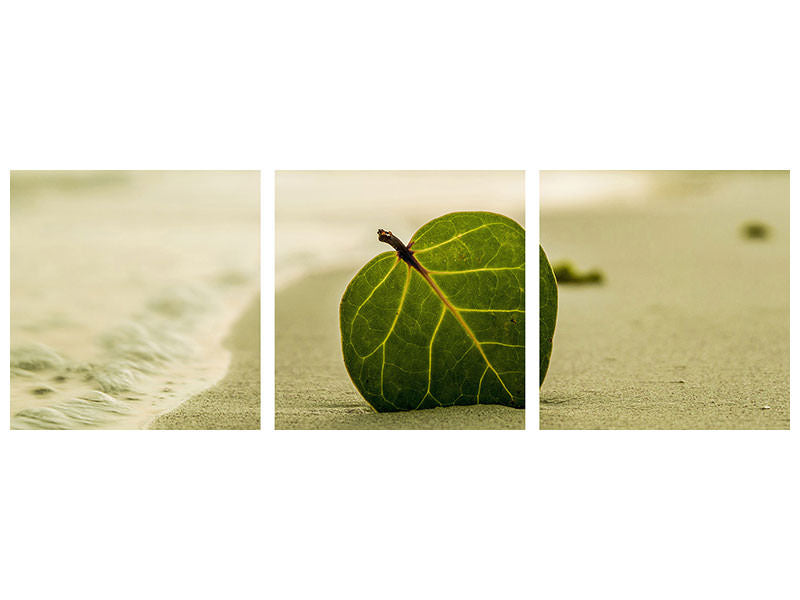 panoramic-3-piece-canvas-print-beach-leaf