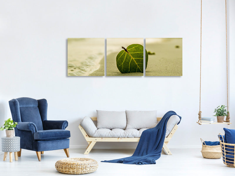 panoramic-3-piece-canvas-print-beach-leaf