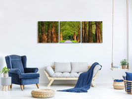 panoramic-3-piece-canvas-print-beautiful-avenue-in-nature