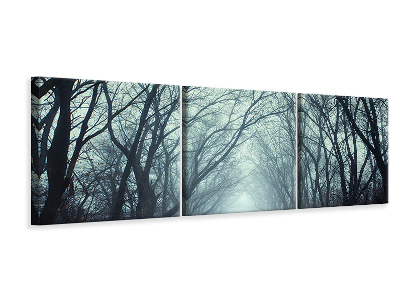 panoramic-3-piece-canvas-print-cloud-forest
