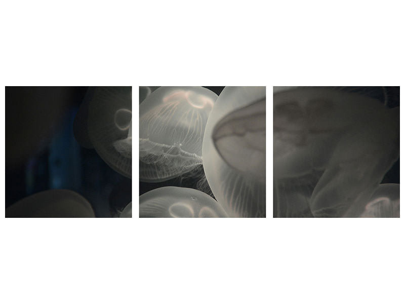 panoramic-3-piece-canvas-print-eerie-jellyfish