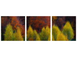 panoramic-3-piece-canvas-print-nimbrethil