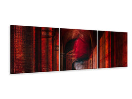 panoramic-3-piece-canvas-print-redfluid