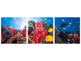 panoramic-3-piece-canvas-print-reef-life