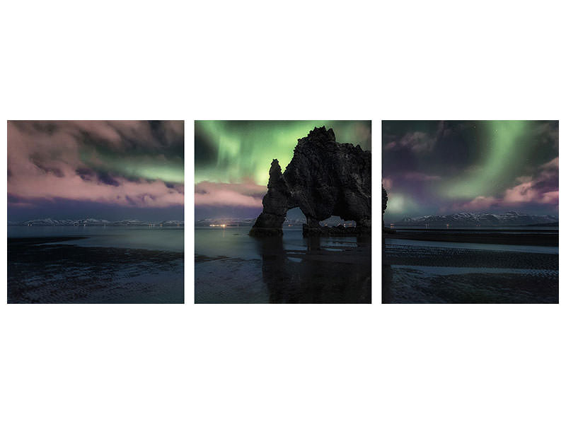 panoramic-3-piece-canvas-print-rhino-iii