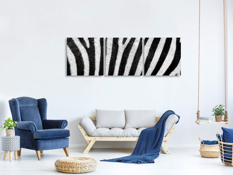 panoramic-3-piece-canvas-print-strip-of-the-zebra