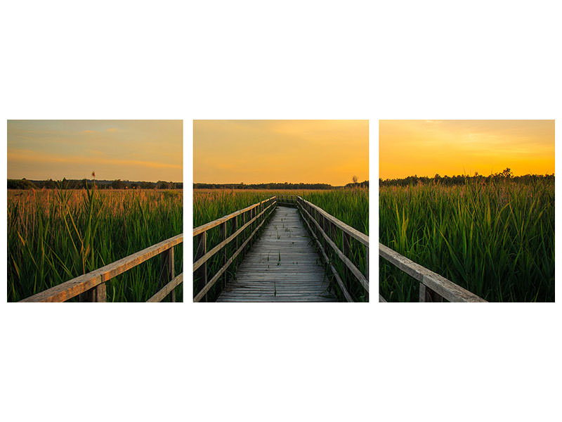 panoramic-3-piece-canvas-print-sunset-in-the-fields